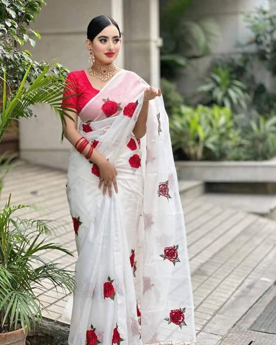 Embroidery Saree Em-145